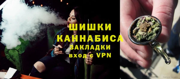 шишки Лагань