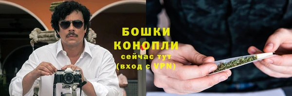 бошки Ладушкин
