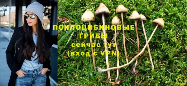 Альфа ПВП Лиски