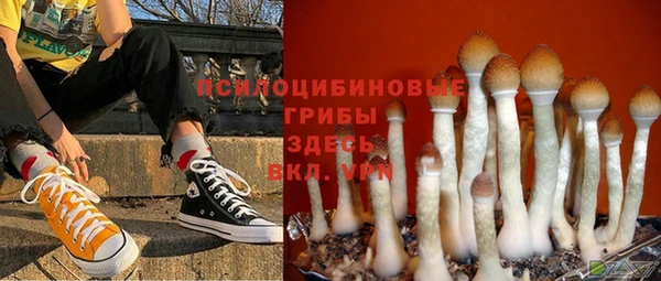 Альфа ПВП Лиски