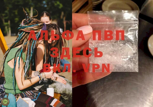 шишки Лагань