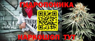 соль ск Гагарин