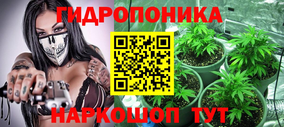 Конопля планчик  Каннабис конопля  Вход с VPN  Бошки марихуана MAZAR  Заволжье 